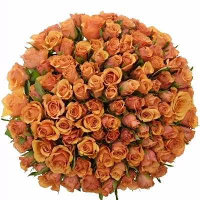 Kytice 100 oranžových růží JULIA 40cm