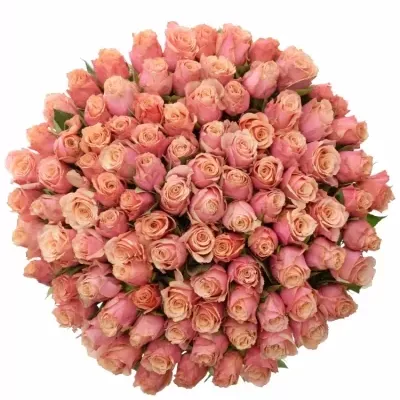 Kytice 100 oranžových růží LEXSON 50cm