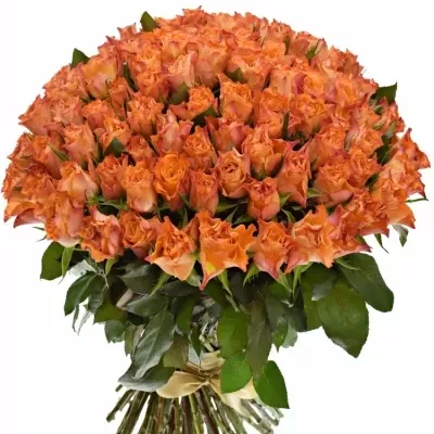 Kytice 100 oranžových růží MARIYO! 40cm