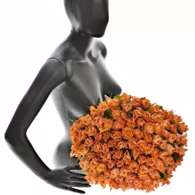 Kytice 100 oranžových růží MARIYO! 40cm