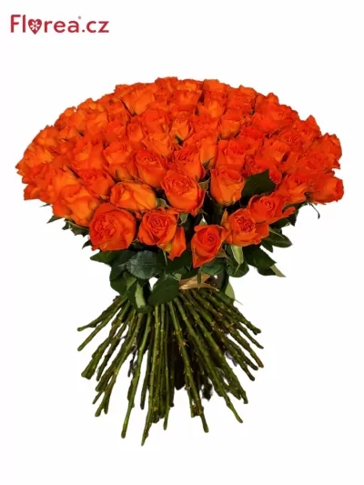 Kytice 100 oranžových růží MISS LISA