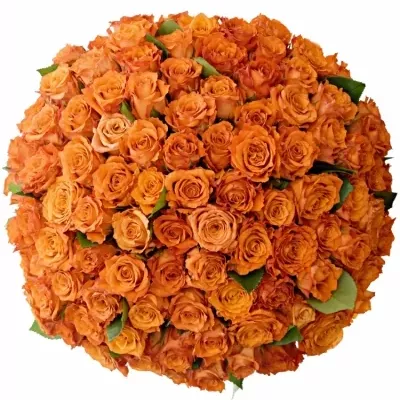 Kytice 100 oranžových růží Mpesa 50 cm