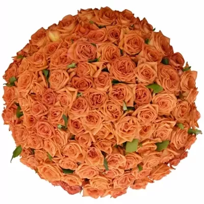 Kytice 100 oranžových růží NARANGA 90cm