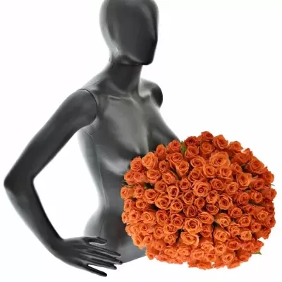 Kytice 100 oranžových růží PATZ 50cm