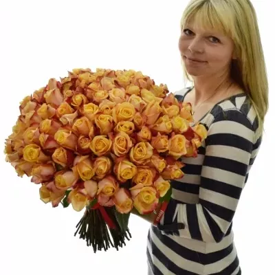 Kytice 100 oranžových růží PEBBLES 50cm