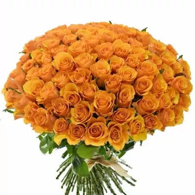Kytice 100 oranžových růží TYCOON 60cm