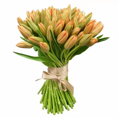 Kytice 100 oranžových tulipánů STELA