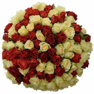 Kytice 100 RED KIWI 40cm