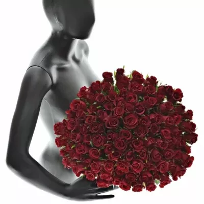 Kytice 100 rudých růží BURGUNDY