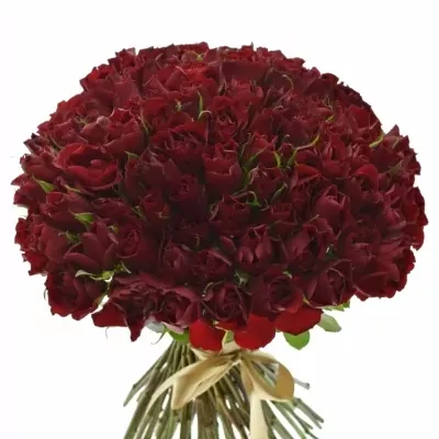 Kytice 100 rudých růží RED TIFFANY