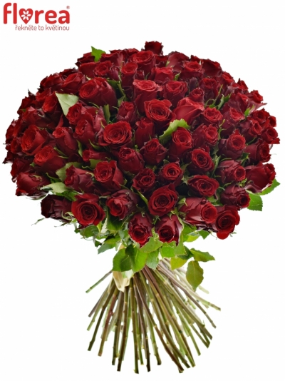 Kytica 100 červených ruží RED TORCH
