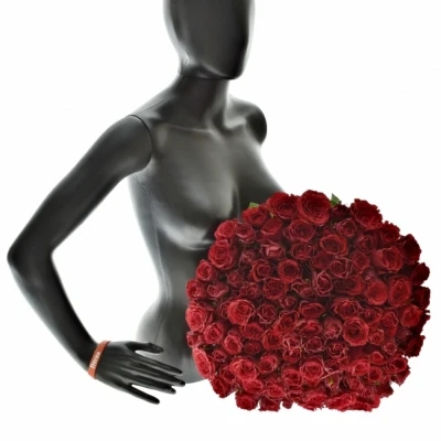 Kytice 100 rudých růží RED VALENTINO