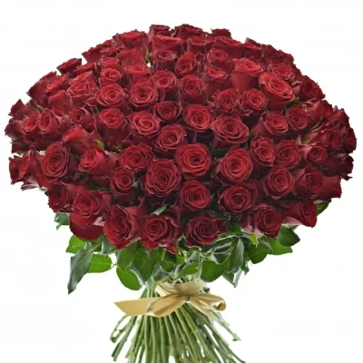 Kytice 100 rudých růží RHODOS