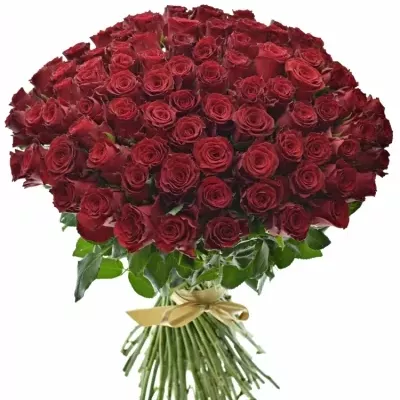 Kytica 100 červených ruží RHODOS