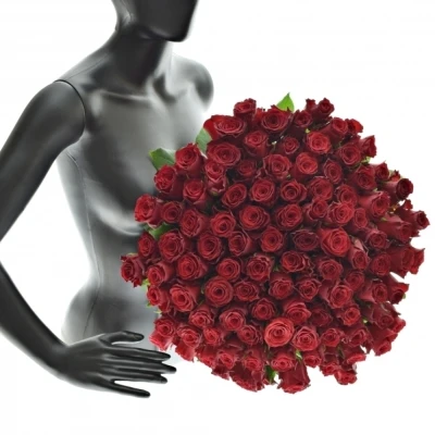 Kytice 100 rudých růží RHODOS