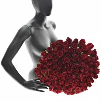 Kytice 100 rudých růží THUNDER 60cm