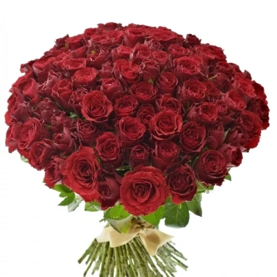Kytice 100 rudých růží UPPER CLASS (S)