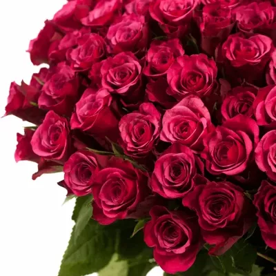 Kytice 100 růží AMALIA