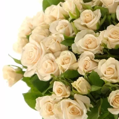 Kytice 100 růží CHAMPAGNE