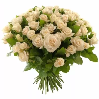 Kytice 100 růží CHAMPAGNE