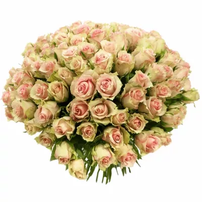 Kytice 100 růží DREAMLAND 40cm