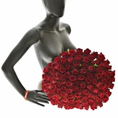 Kytice 100 růží Madam Red 60cm