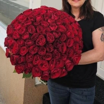 Kytice 100 růží Madam Red 60cm