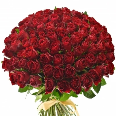 Kytice 100 růží Madam Red 60cm