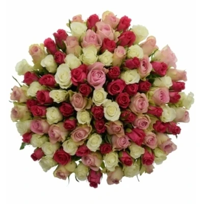 Kytice 100 růží MIX PINK 50cm