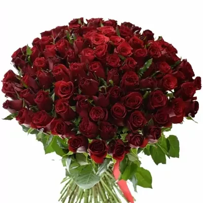 KYtice 100 růží PRESTIGE 60cm