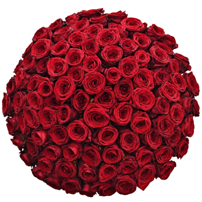 Kytice 100 růží RED NAOMI!