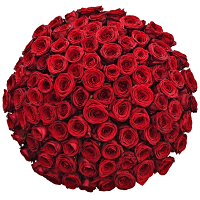 Kytice 100 růží RED NAOMI!