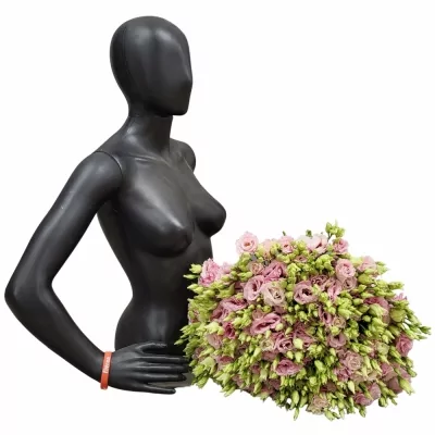 Kytice 100 růžových jícnovek ROSALIE