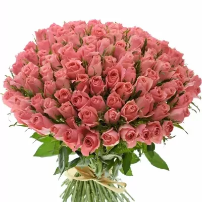 Kytice 100 růžových růží ACE PINK 50cm (M)