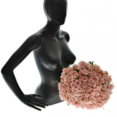 Kytice 100 růžových růží ALINA