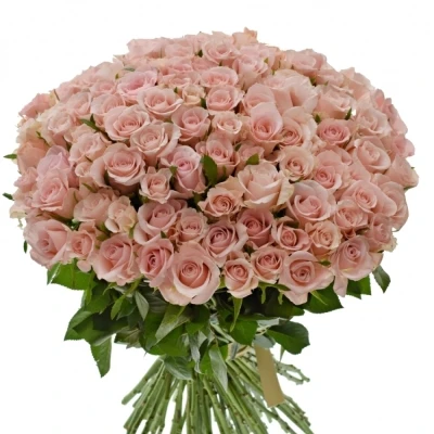 Kytice 100 růžových růží ALINA