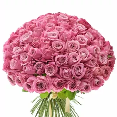 Kytice 100 růžových růží ALL 4 LOVE+
