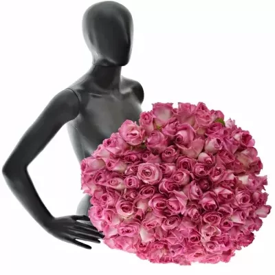 Kytice 100 růžových růží AVALANCHE CANDY+ 60cm