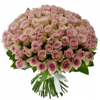 Kytice 100 růžových růží BISOU 40cm 