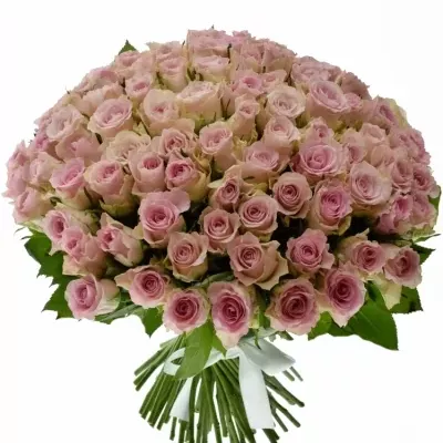 Kytice 100 růžových růží BISOU 40cm 