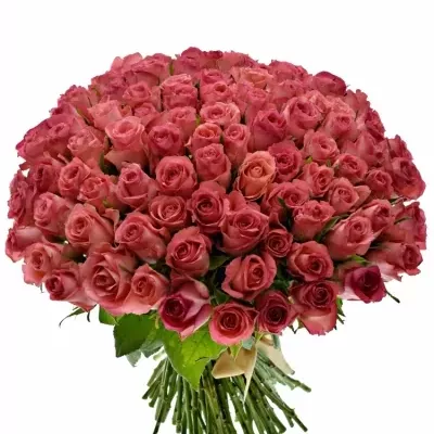 Kytice 100 růžových růží DEKORA 40cm