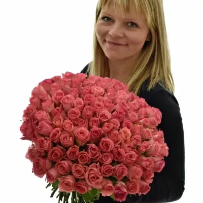Kytice 100 růžových růží DEKORA 40cm