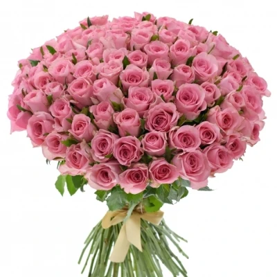 Kytice 100 růžových růží ELIZA