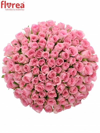Kytice 100 růžových růží ELIZA 40cm 