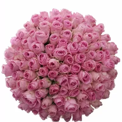 Kytice 100 růžových růží HEIDI! 50cm