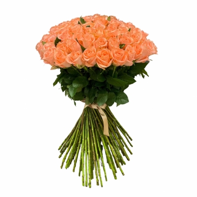 Kytica 100 ružových ruží LADY MARGARET 40cm