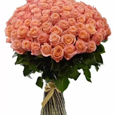 Kytice 100 růžových růží LADY MARGARET 50cm