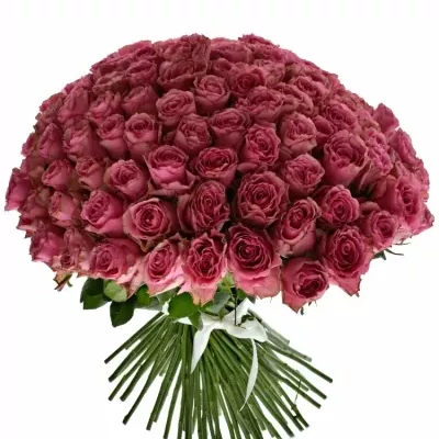 Kytice 100 růžových růží LOVELY RHODOS 50cm