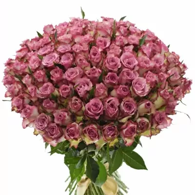 Kytice 100 růžových růží MELINA 50cm 