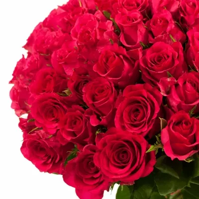 Kytica 100 ružových ruží MEMORY 50cm